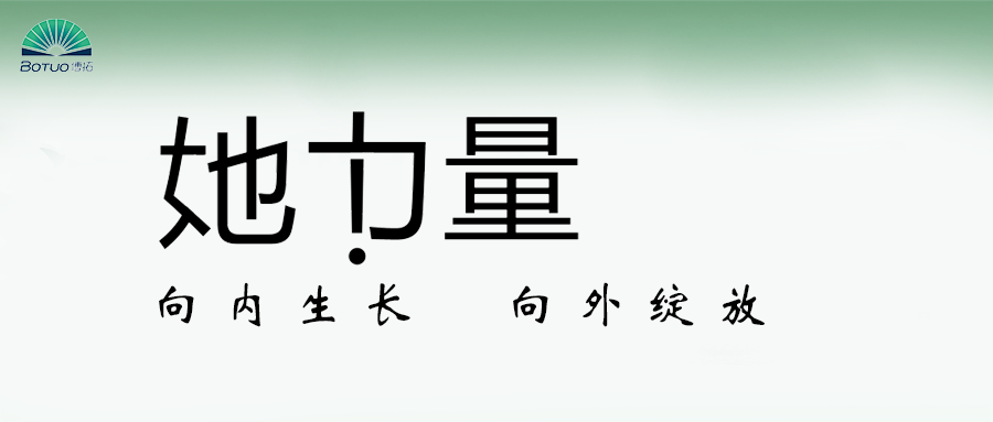 她力量 | 向內生長 向外綻放